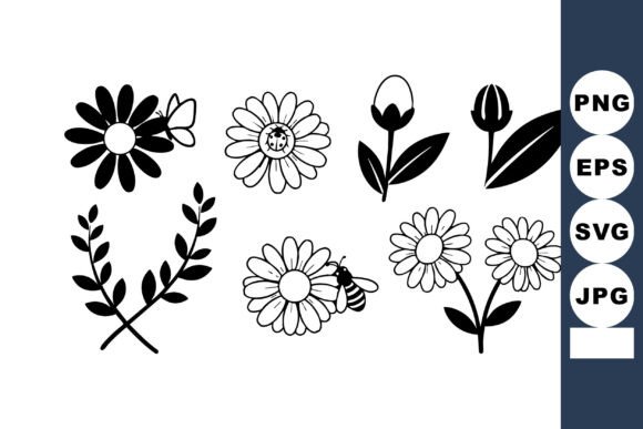 Black and White Vector Flowers with Bee: Graphics & Illustrations