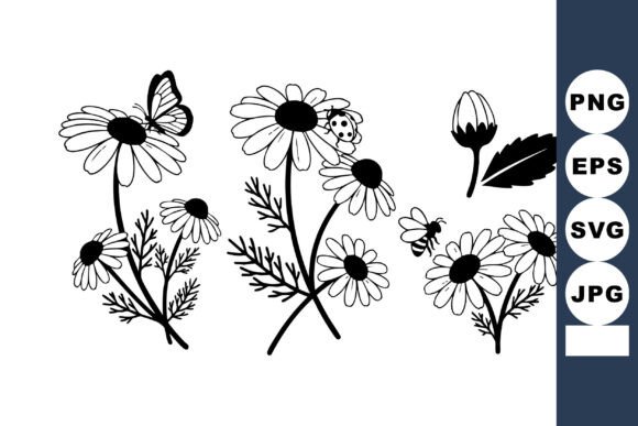Chamomile Graphics & Illustrations for Branding