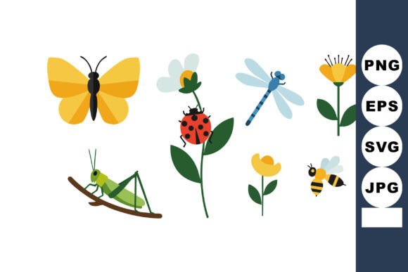 Colorful Insects and Flowers Graphics & Illustrations Review