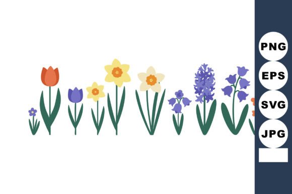 Spring Flowers Vector Illustration with Graphics & Illustrations