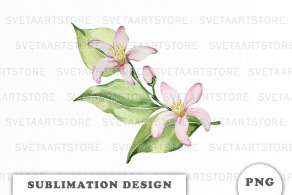 Watercolor Lemons Flowers Composition: Graphics & Illustrations