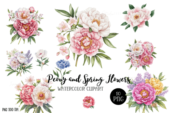 Watercolor Peony and Spring Flowers: Graphics & Illustrations