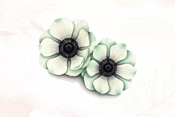 White Anemone Graphics & Illustrations Review